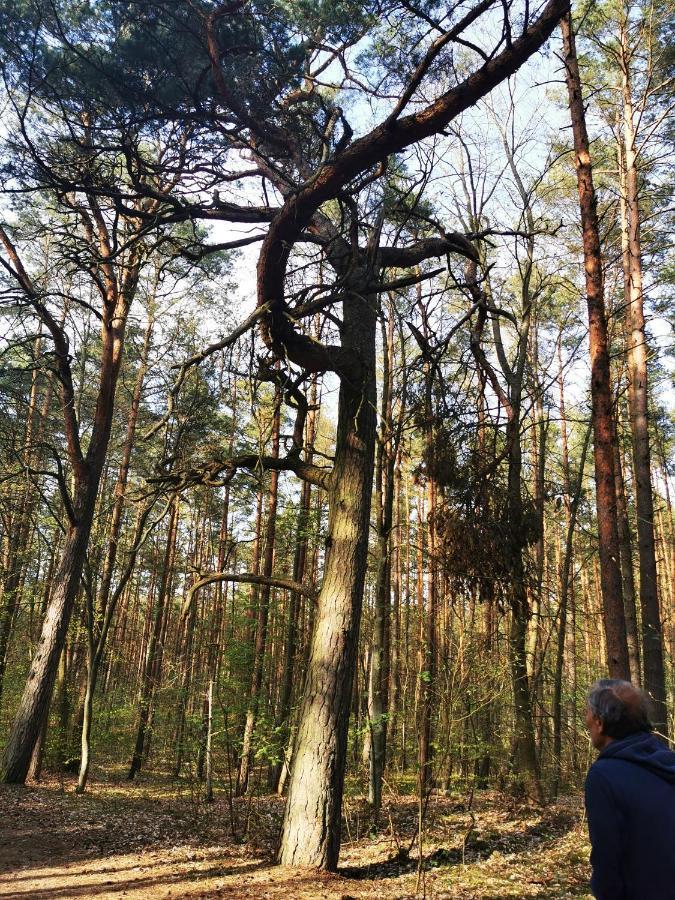 M&k Slomkowe Kapelusze - Sobieszewo, Wyspa Sobieszewska Danzig